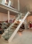 Burtscher_10-2017-1440753.jpg